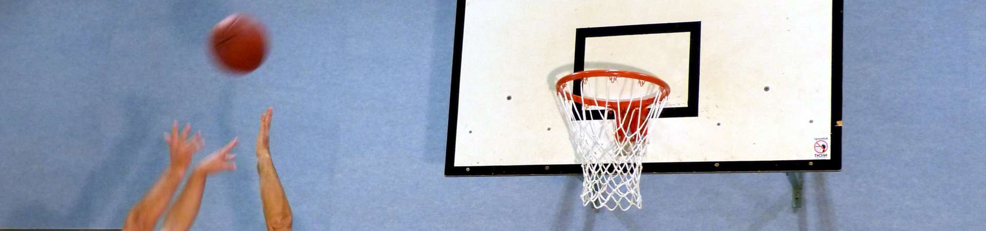 Basketball / Sportverein Rickenbach / Hotzenwald / Südschwarzwald